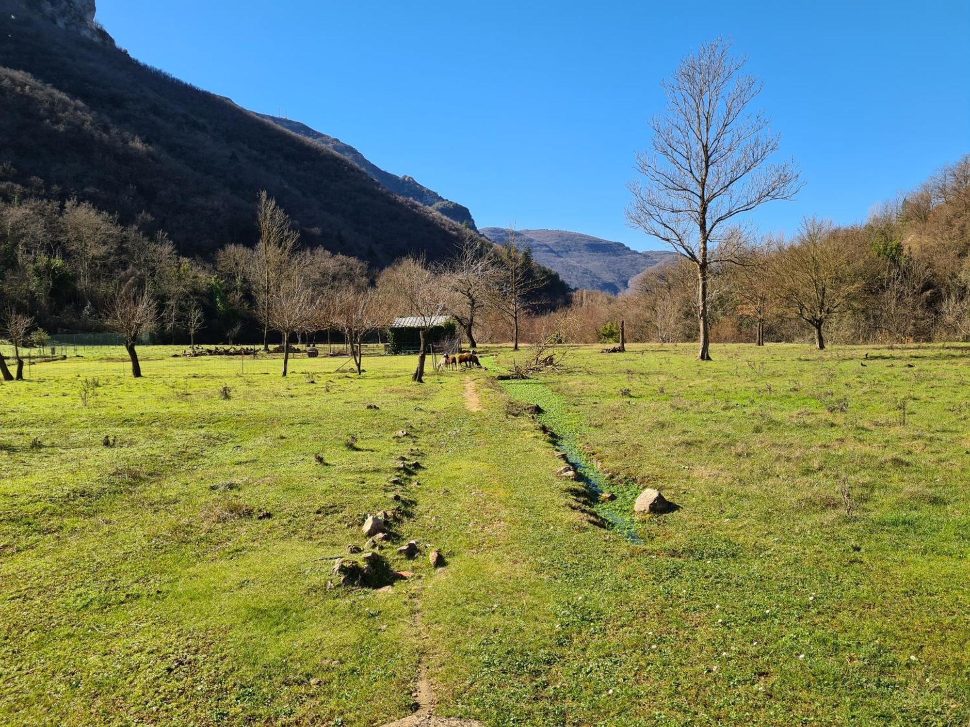 Les Sources / Chez Lea